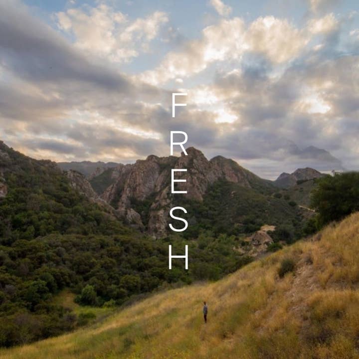 OPTIMIST FRESH | Non-Alcoholic Spirit Made from Real Botanicals