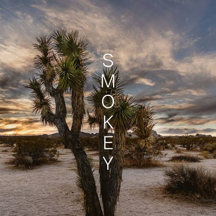 OPTIMIST SMOKEY | Non-Alcoholic Spirit Made from Real Botanicals